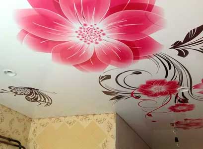 Натяжной потолок с фотопечатью